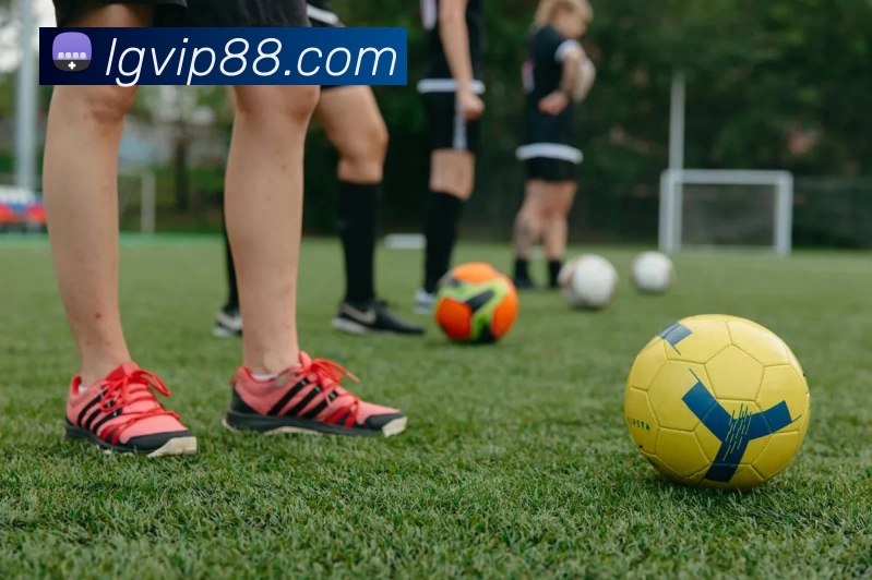 蓝冠在线官网发展历程