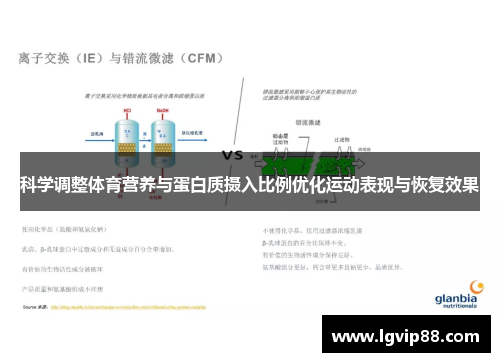科学调整体育营养与蛋白质摄入比例优化运动表现与恢复效果