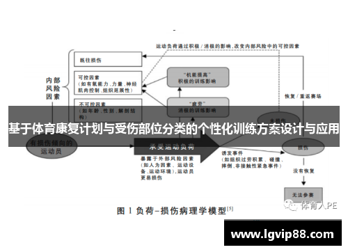 基于体育康复计划与受伤部位分类的个性化训练方案设计与应用